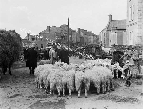 MARKET SQUARE CIRCLE OF SHEEP